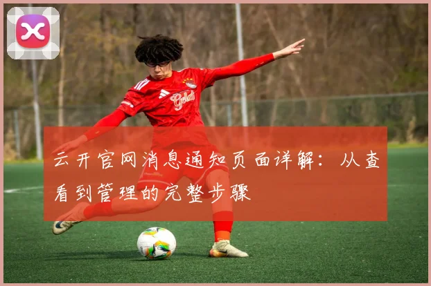 云开官网消息通知页面详解：从查看到管理的完整步骤