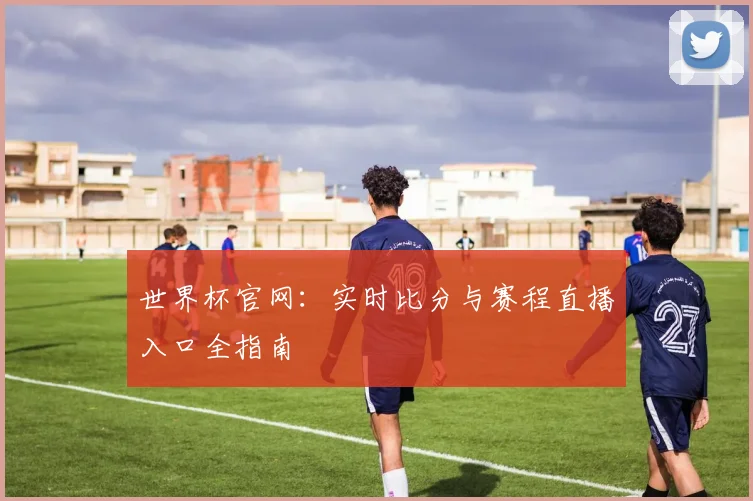 世界杯官网：实时比分与赛程直播入口全指南