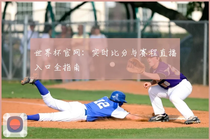 世界杯官网：实时比分与赛程直播入口全指南